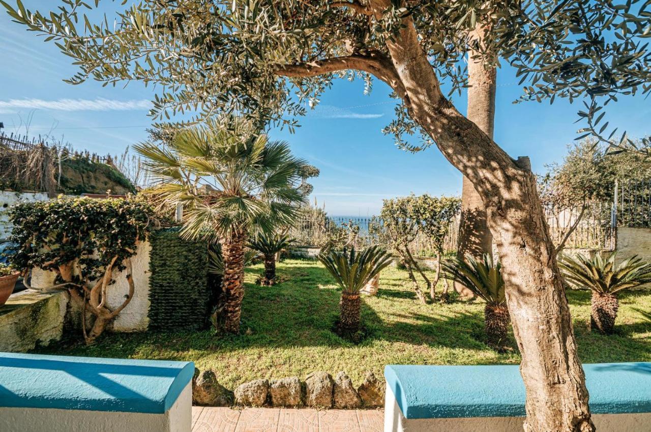 Appartamenti Ischia Casa Don Peppe Forio di Ischia エクステリア 写真