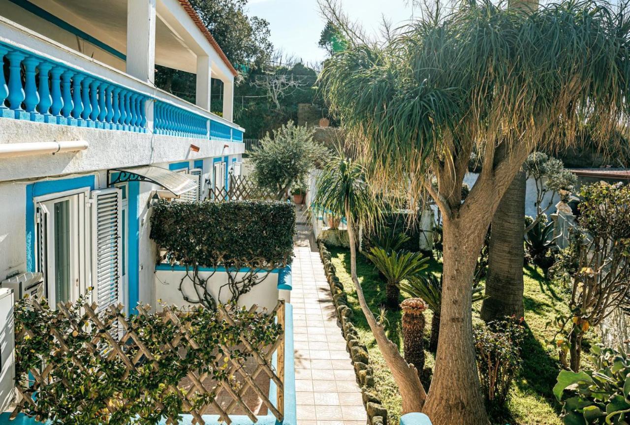 Appartamenti Ischia Casa Don Peppe Forio di Ischia エクステリア 写真